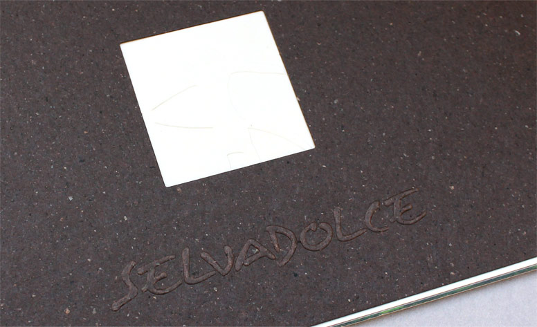 dettaglio brochure